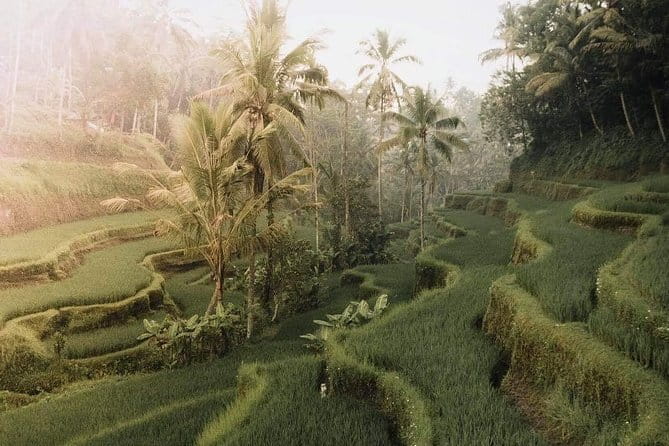 Bali : Full Day Traditional Village & Sightseeing - Practical Considerations and Value