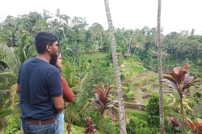 Bali : Full Day Traditional Village & Sightseeing - A Deep Dive into the Bali: Full Day Traditional Village & Sightseeing Tour