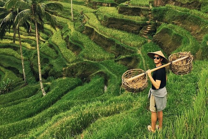 Ubud Jungle Swing - Monkey Forest - Water Temple - Waterfall - Highlights of the Itinerary