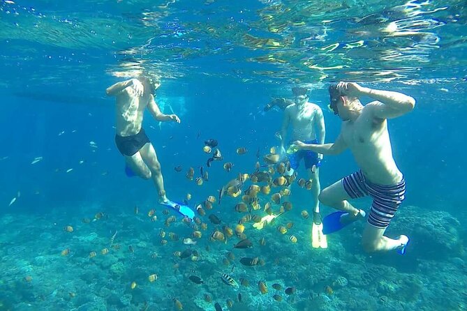 Nusa Penida Sharing Snorkeling with West Tour - Snorkeling: Underwater Highlights
