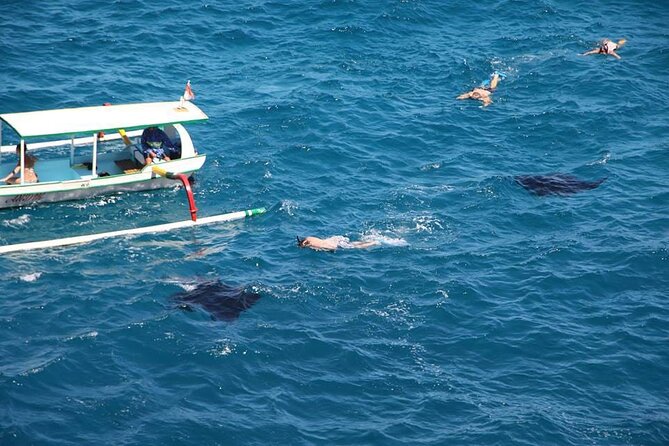 Nusa Penida Sharing Snorkeling with West Tour - The Full Experience: What This Tour Offers