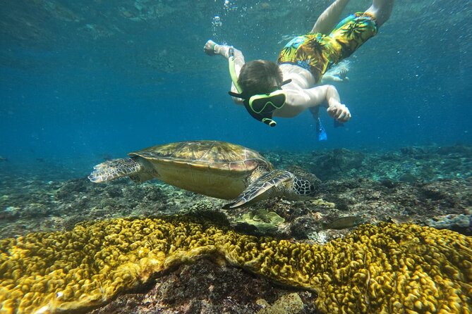No:#1. Penida Island Tour And Snorkeling With Manta - The Value for Money