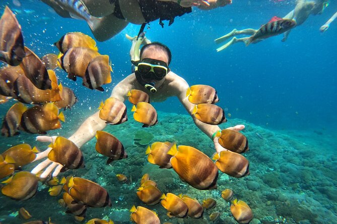 No:#1. Penida Island Tour And Snorkeling With Manta - Who Is This Tour Best Suited For?