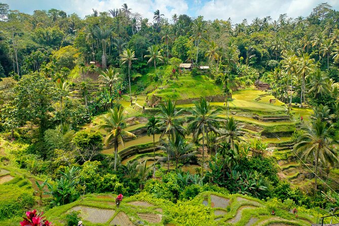 Bali Shore Excursion from Benoa Port  All-Inclusive Private Trip - Good To Know