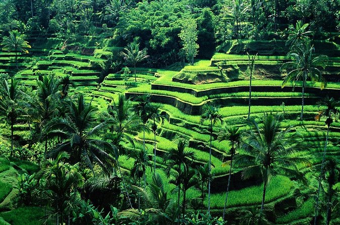 Balinese Healing Experience by Nature - Frequently Asked Questions