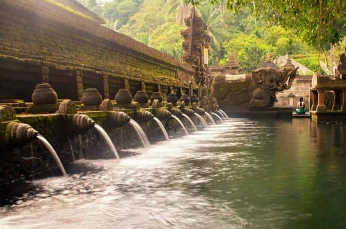 Ubud Full Day Tour: Private and Customizable - Who Should Consider This Tour?