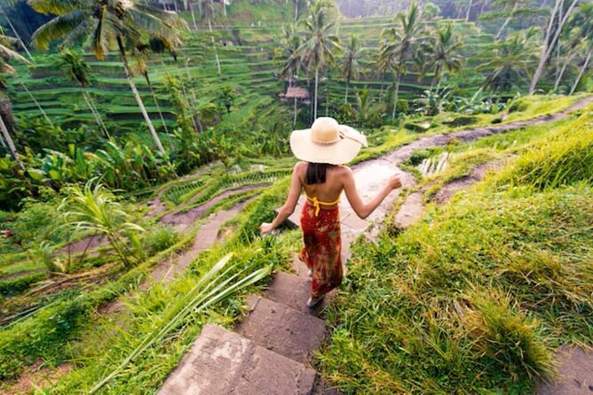 Ubud Full Day Tour: Private and Customizable - Exploring the Ubud Full Day Tour: Private and Customizable