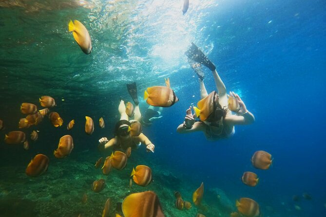 Snorkeling at Blue Lagoon & Tanjung Jepun All Inclusive - Key Points