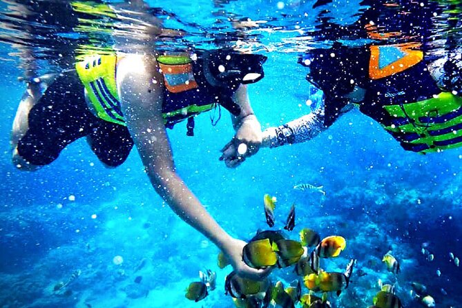 Snorkeling at Blue Lagoon & Tanjung Jepun All Inclusive - An In-Depth Look at the Snorkeling Experience