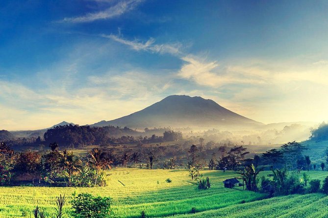 Shore Excursion : Private Tours To Ubud Art village And Surrounding Area - An In-Depth Look at the Itinerary and Experience