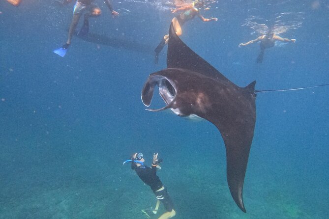 Nusa Penida Special Trip Snorkeling with Manta Rays and Land Tour - The Sum Up: Who Should Sign Up?