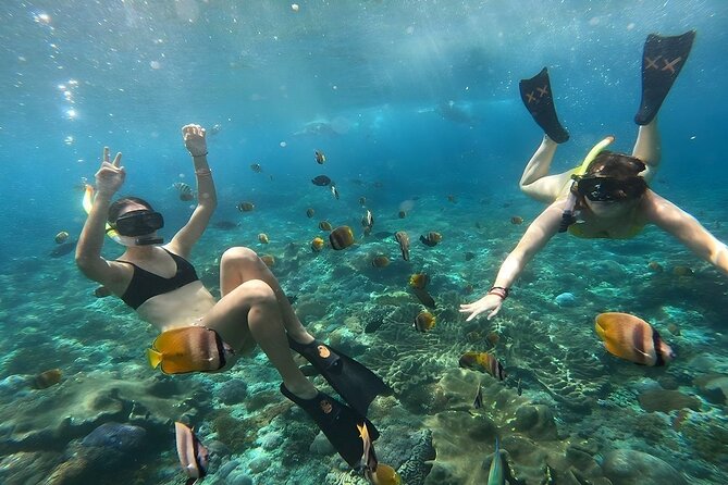 Nusa Penida Special Trip Snorkeling with Manta Rays and Land Tour - Who Should Consider This Tour?