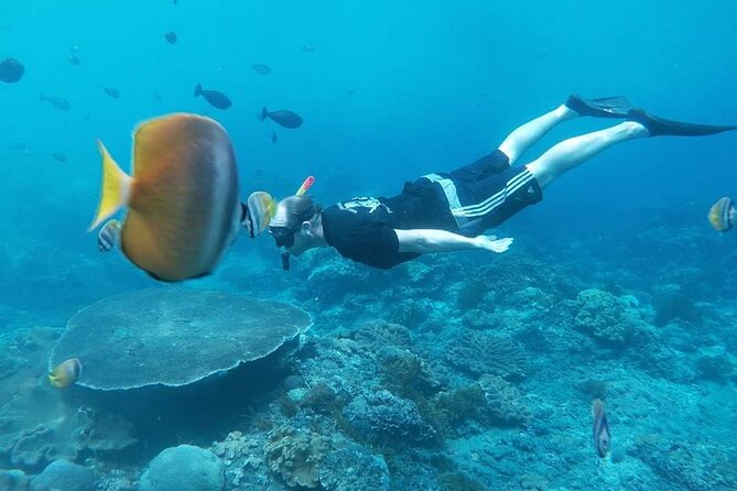 Nusa Penida Special Trip Snorkeling with Manta Rays and Land Tour - Final Thoughts