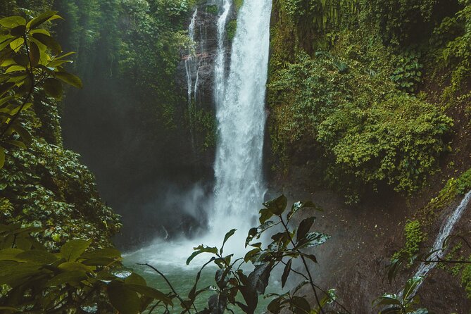 Ubud private tours - The Itinerary in Detail