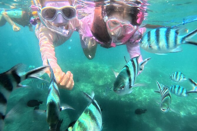Snorkeling Blue Lagoon and Tanjung Jepun All Inclusive - What to Expect During Your Day