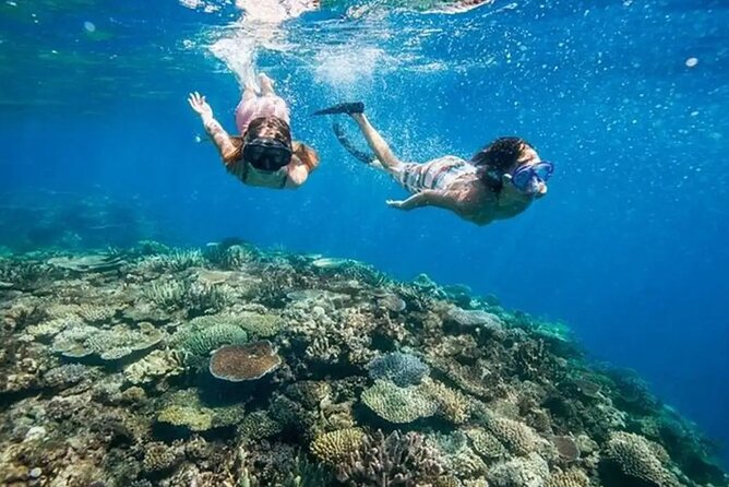 Snorkeling Blue Lagoon and Tanjung Jepun All Inclusive - Key Points