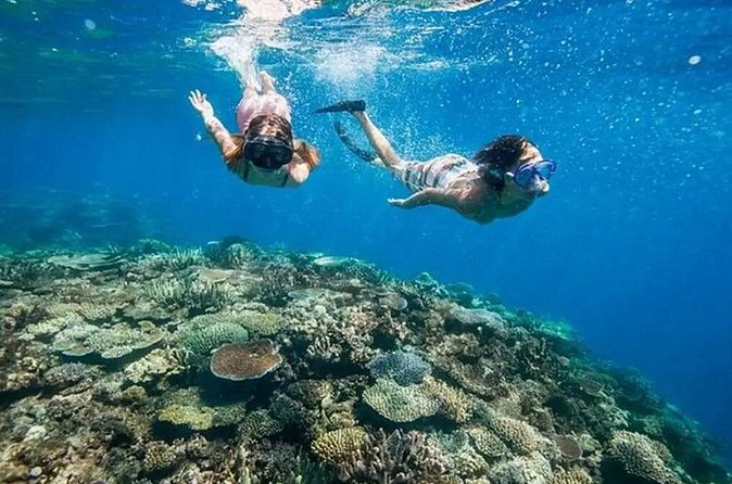 Snorkeling Blue Lagoon and Tanjung Jepun All Inclusive - Why This Tour Is Well-Received