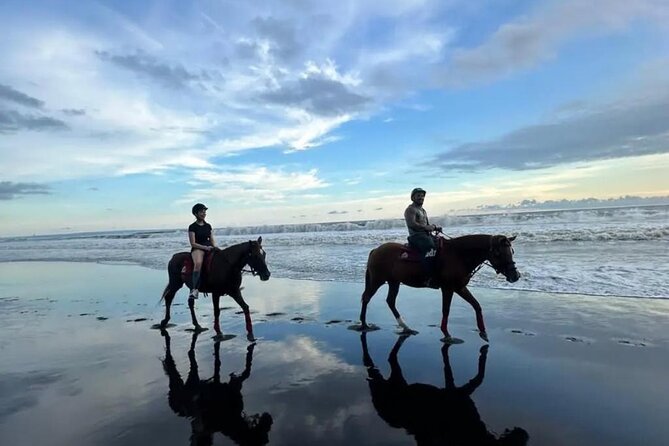 Horse Riding Bali On pigstone beach, Rice Field and village Tour - Who Will Love This Tour?