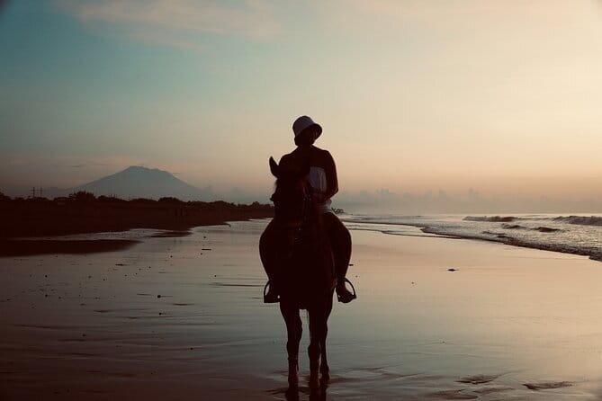 Bali Horse Riding Trot & Canter Sanur Beach include Transport - FAQ
