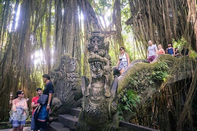 Ubud Tour: Monkey Forest, Rice Terrace, Waterfall, Water Temple - Transportation & Overall Experience