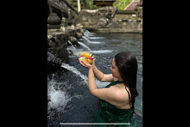 Best of Ubud: Jungle, Temples & Swing - Who Should Book This Tour?