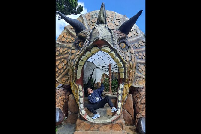 Full Day Private Guided Tour in North Bali - The Value of the Experience