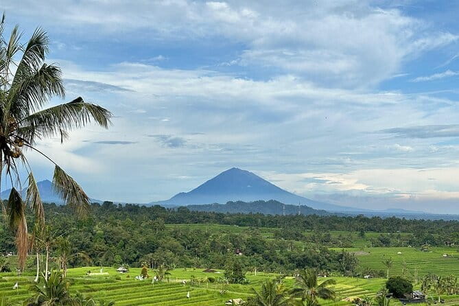 Full-day Ubud Private tour : Cultural Heritage - The Itinerary Breakdown: What You Can Expect