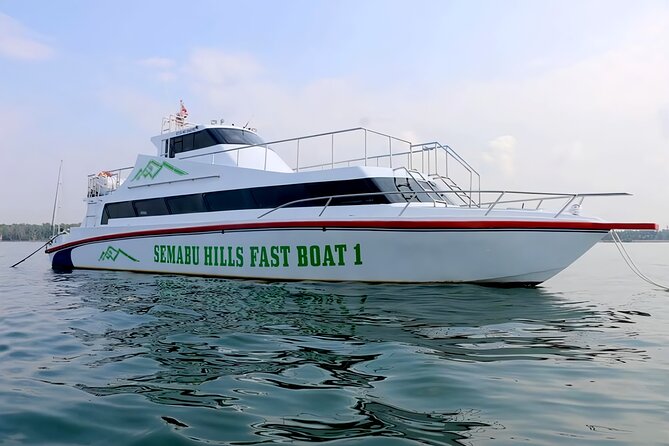 One Way Ticket Fast Boat from Sanur Bali and Nusa Penida - Practical Tips for a Smooth Journey