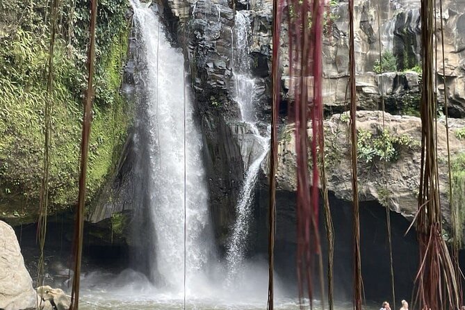 All Inclusive Ubud Cultural and Natural Highlights Tour - Why This Tour Delivers Value