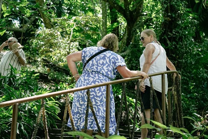 Bali Waterfalls and Monkey River Private Day Tour - Who Should Book This Tour?