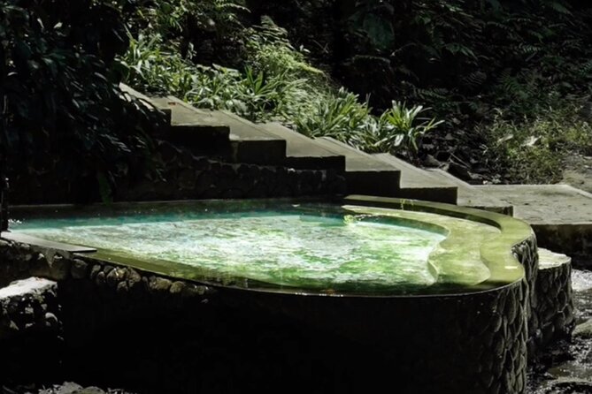 Bali Waterfalls and Monkey River Private Day Tour - Final Thoughts on Value and Experience