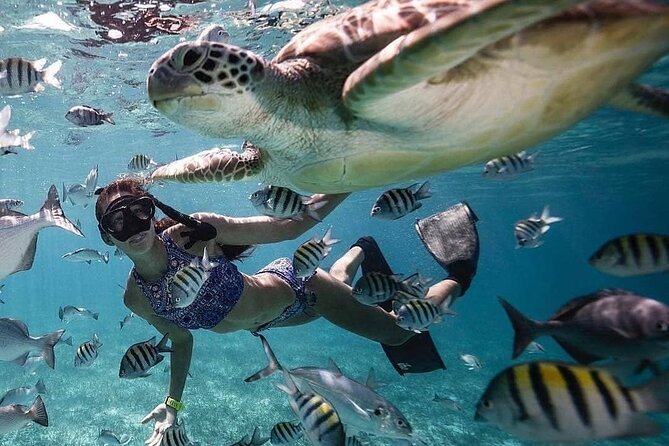 Bali Blue Lagoon Snorkeling with Optional Tours or Activities - Exploring the Bali Blue Lagoon Snorkeling Tour: An Authentic Underwater Adventure