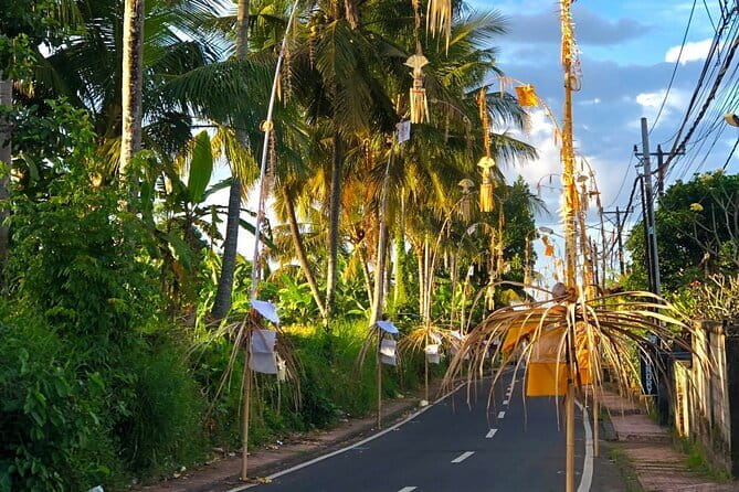 Best Of Ubud Scenic Full Day Private Guided Tour - Practical Details & What You Can Expect