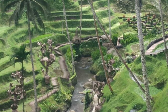 Bali Shore Excursion from Benoa Port  All-Inclusive Private Tour - Authenticity and Personal Touches