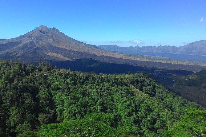 Bali in 1-Day : Rice Terrace, Volcano, Tanah lot - All Inclusive - What Reviewers Say