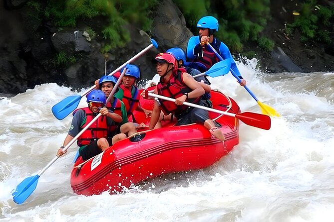 Ayung River Rafting and Bali Best Waterfalls Tour - Is This Tour Right for You?