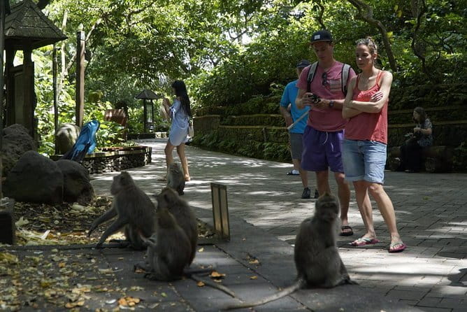 Bali Private Tour Waterfall with Tanah Lot Temple - Who Is This Tour Best Suited For?  