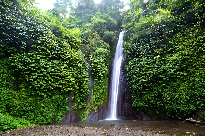 Private Full-Day Car Charter: Beauty of North Bali Tour - What We Think: Is It Worth It?