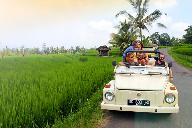 Ubud VW Safari Bali Tour - Volkswagen Classic Car Trip - The Convenience Factor: Door-to-Door Service & Flexibility