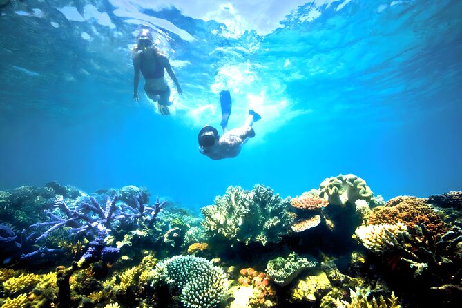 Blue Lagoon Snorkeling and Ubud Waterfall Tour - Blue Lagoon Snorkeling: Calm Waters and Vibrant Reef Life