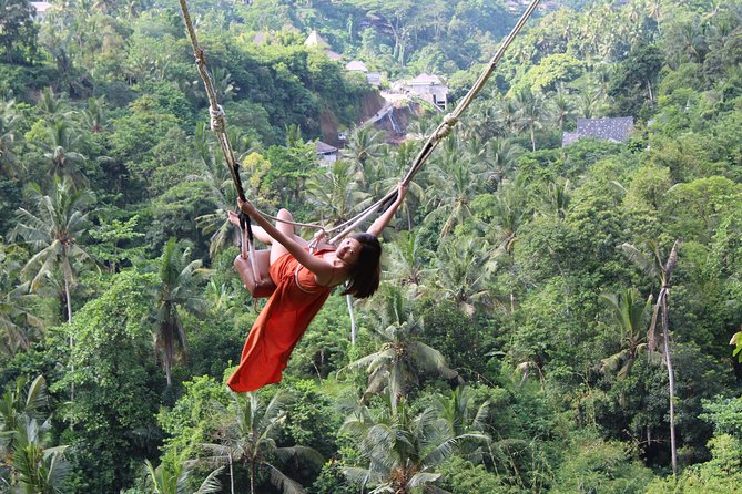 Private Full Day Tour to Ubud Highlights with Giant Swing - What’s Included and What’s Not