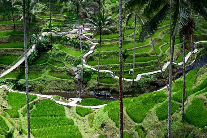 Private Full Day Tour to Ubud Highlights with Giant Swing - The Sum Up