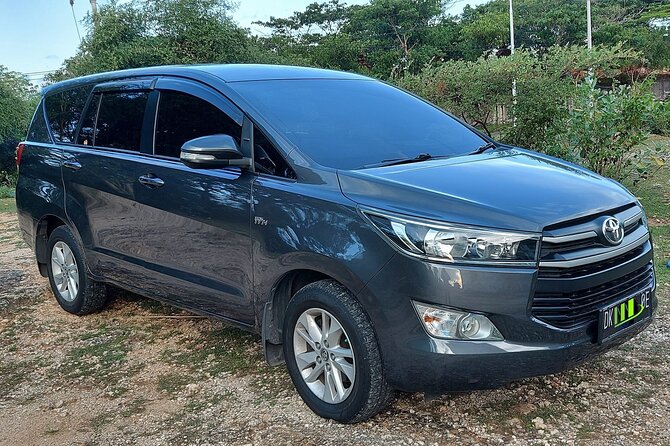 Ngurah Rai International Airport Private Arrival Transfer - Who Would Enjoy This?