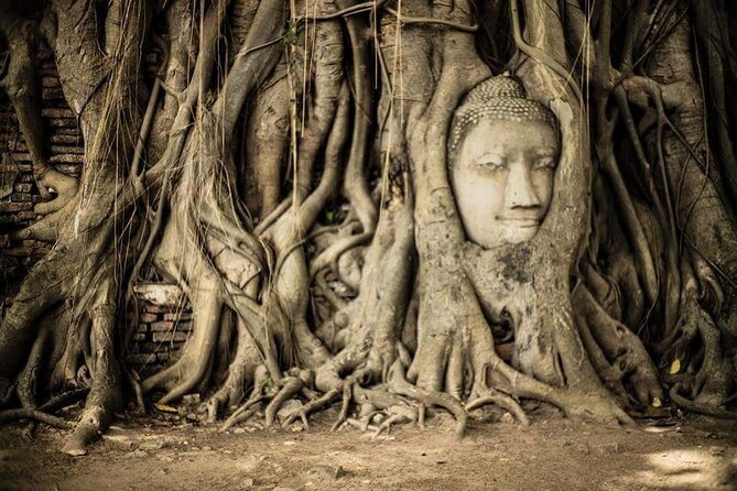 Half-Day Tour : PRIVATE Grand Palace & Temples - Who Should Book This Tour?