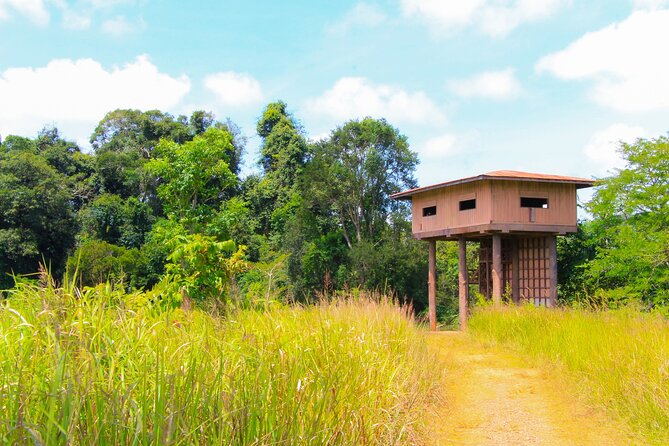 Khao Yai National Park Full Day - An In-Depth Look at the Khao Yai Experience