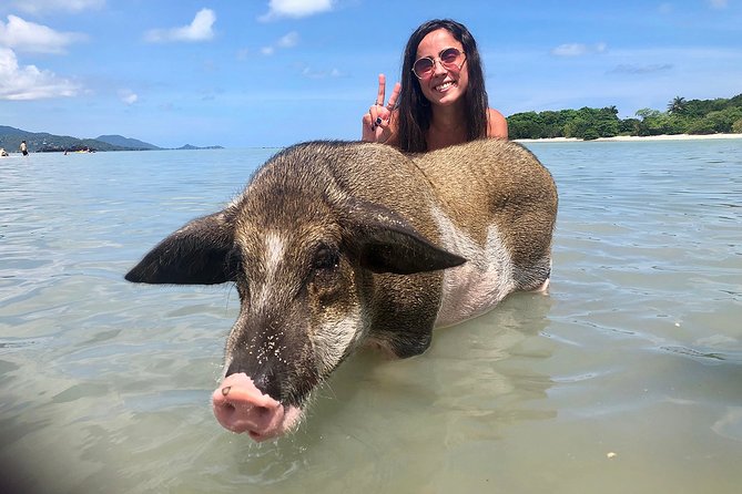 Pigs Island exclusive Semi VIP - Snorkeling at the Coral Reef  