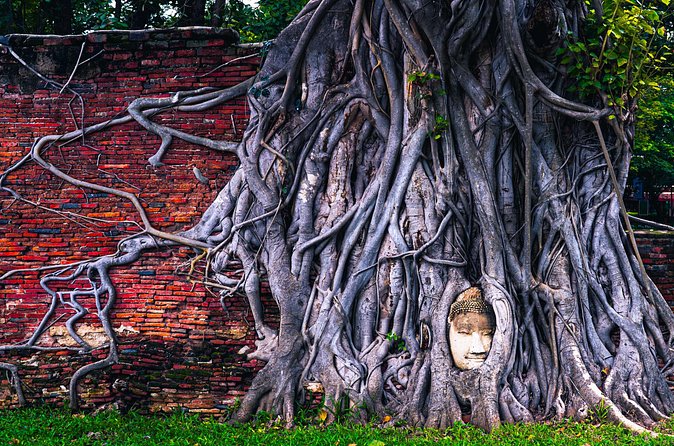 Bangkok Private Car: Ayutthaya Mahathat, Wat Chai & Market (8h) - Transportation and Vehicle Options