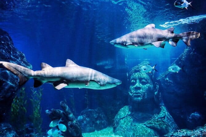 Bangkok Mahanakhon SkyWalk Entry ticket with Photo & Skyverse - Frequently Asked Questions