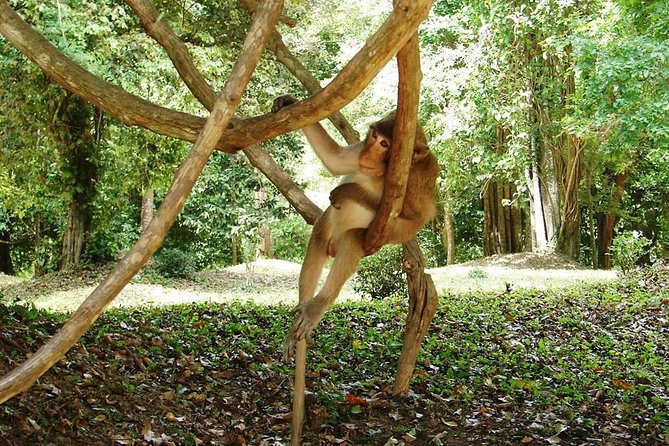 2-Day Angkor Wat Tour from Bangkok - Authenticity and Cultural Insights