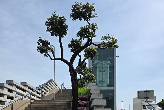 2 Hour Electric Tuk Tuk Cultural Tour of Bangkok - The Sum Up: Who Should Book This Tour?